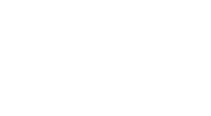 Logo Agroinsight